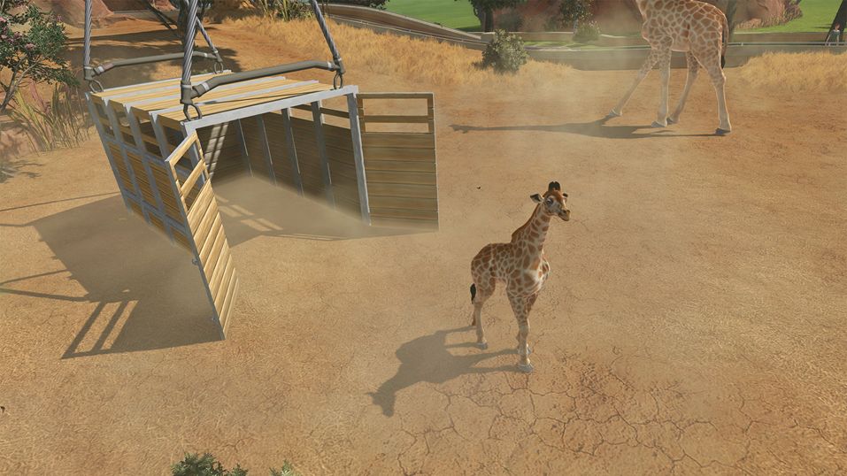 Zoo Tycoon review – animal attraction