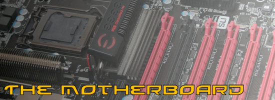 The Motherboard