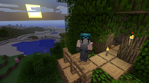 Celebrate Minecraft: Xbox 360 Edition's birthday with some free skins